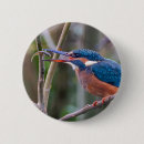 Suche nach eisvogel accessoires Wildtiere