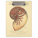 Suche nach muschel klemmbrett Ozean