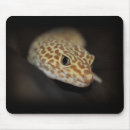 Suche nach geckos mousepads Leopard