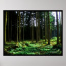 Suche nach surreale bäume poster Landschaft