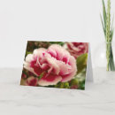 Suche nach carnation karten Pink