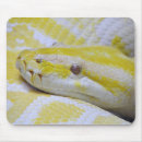 Suche nach pythonschlange mousepads Reptil