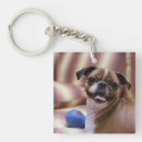 Suche nach happy dog schlüsselanhänger Niedlich