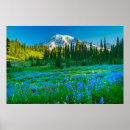 Suche nach rain poster Blume