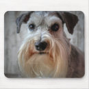 Suche nach im gesicht mousepads Gesichtspunkt