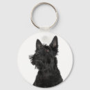 Suche nach scottish terrier schlüsselanhänger Tier