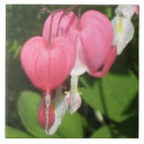 Suche nach große foto fliesen Blume