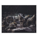 Suche nach wolf pack poster Wildtiere