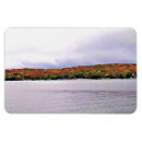 Suche nach geneva magnete See