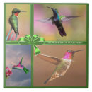 Suche nach hummingbird fliesen Fliege