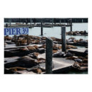 Suche nach seelöwen poster Pier 39