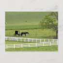 Suche nach pferd und buggy postkarten Landschaft
