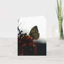 Suche nach einsamkeit karten Natur