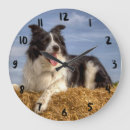 Suche nach border collie wanduhren Haustier