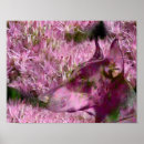 Suche nach doberman poster Pinscher