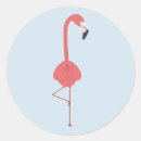 Suche nach lustiger flamingo aufkleber Vogel
