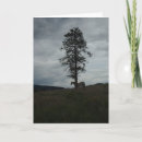 Suche nach einzig karten Baum