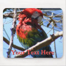 Suche nach roter papagei mousepads Macaw