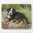 Suche nach berner sennenhund mousepads Tier