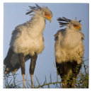 Suche nach afrika fliesen Tierwelt