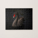 Suche nach schwan puzzle Vogelvogel