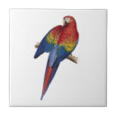 Suche nach papagei macaw fliesen Für alle