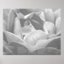 Suche nach wei poster Inspirierend