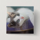 Suche nach bett buttons Katze