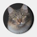 Suche nach katzenknopf Schaltfläche