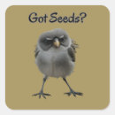 Suche nach lustige vögel aufkleber Niedlicher vogel