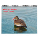 Suche nach bunt kalender Vogel