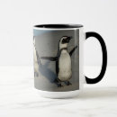Suche nach afrikanischer pinguin tassen Natur