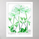 Suche nach petersilie poster Jede person