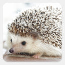 Suche nach baby igel aufkleber Niedlich