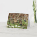 Suche nach kalifornien geburtstag karten Fotografie