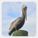 Suche nach pelikan aufkleber Natur