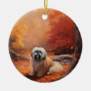Suche nach lhasa apso ornamente Jede person