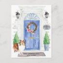 Suche nach shetland postkarten Hund