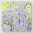 Suche nach orchideen blume untersetzer Violette blumen