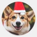 Suche nach lächelt aufkleber Hund
