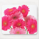 Suche nach rosa gerbera mousepads Blume