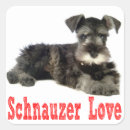 Suche nach schnauzer aufkleber Welpe