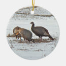 Suche nach truthahn ornamente Natur