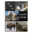 Suche nach yellowstone nationalpark Bison