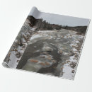 Suche nach eingefroren geschenkpapier Eisig