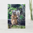 Suche nach alberne witze postkarten Spaß