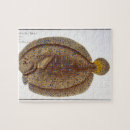 Suche nach kruger puzzle Leben