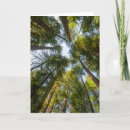 Suche nach redwood karten Wald