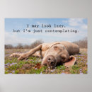 Suche nach faul poster Träge