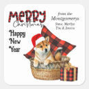 Suche nach shiba inu welpe aufkleber Haustier